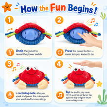 Load image into Gallery viewer, WiggleJiggle™ — Tummy Time Musical Crabby