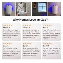 Load image into Gallery viewer, InviZap™️ - Discreet Flying Insect Trap
