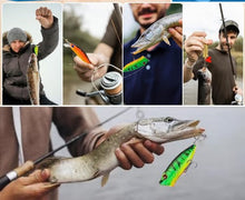 Load image into Gallery viewer, Merry Fishmas™️ - Advent Calendar