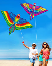 Load image into Gallery viewer, SoarKite™