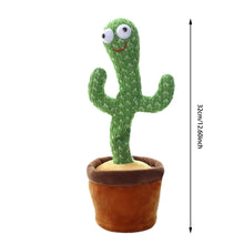 Load image into Gallery viewer, The Original Cactus Carl™️