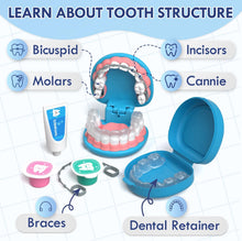 Load image into Gallery viewer, LittleSmiles™ - Kids Dentist Play Set
