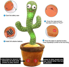 Load image into Gallery viewer, The Original Cactus Carl™️
